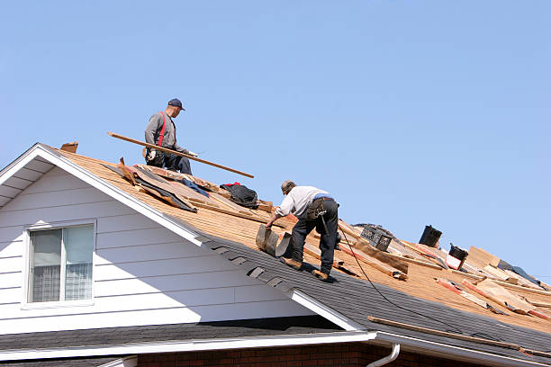 Best Skylight Installation and Repair  in Rochelle, IL